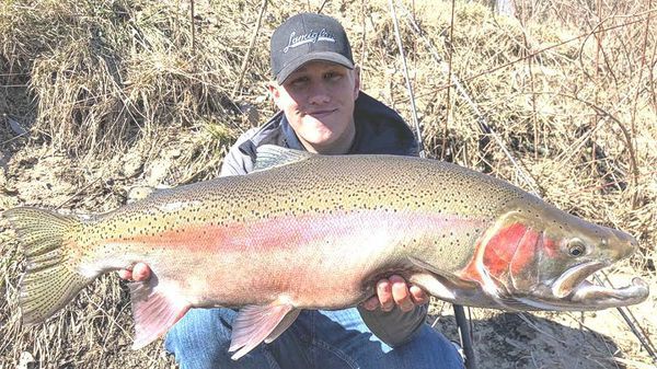 Outdoors: Cold temperatures bring delicious coho